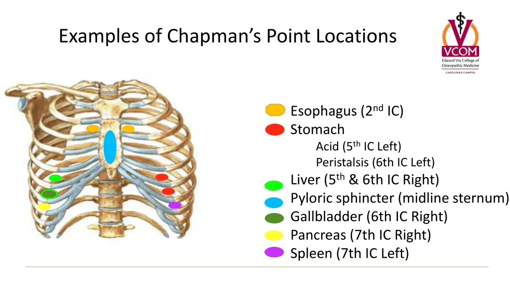 examples of chapman s point locations