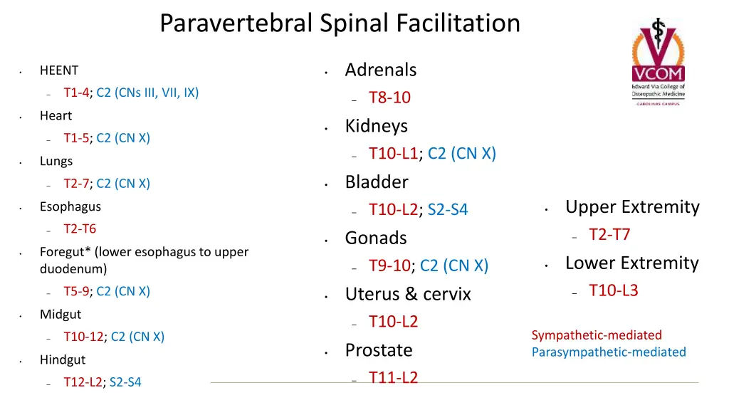 paravertebral spinal facilitation