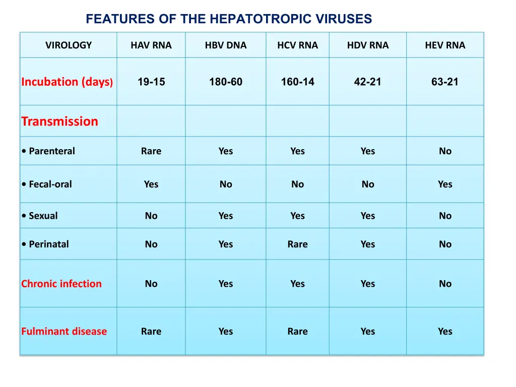 features of the hepatotropic viruses