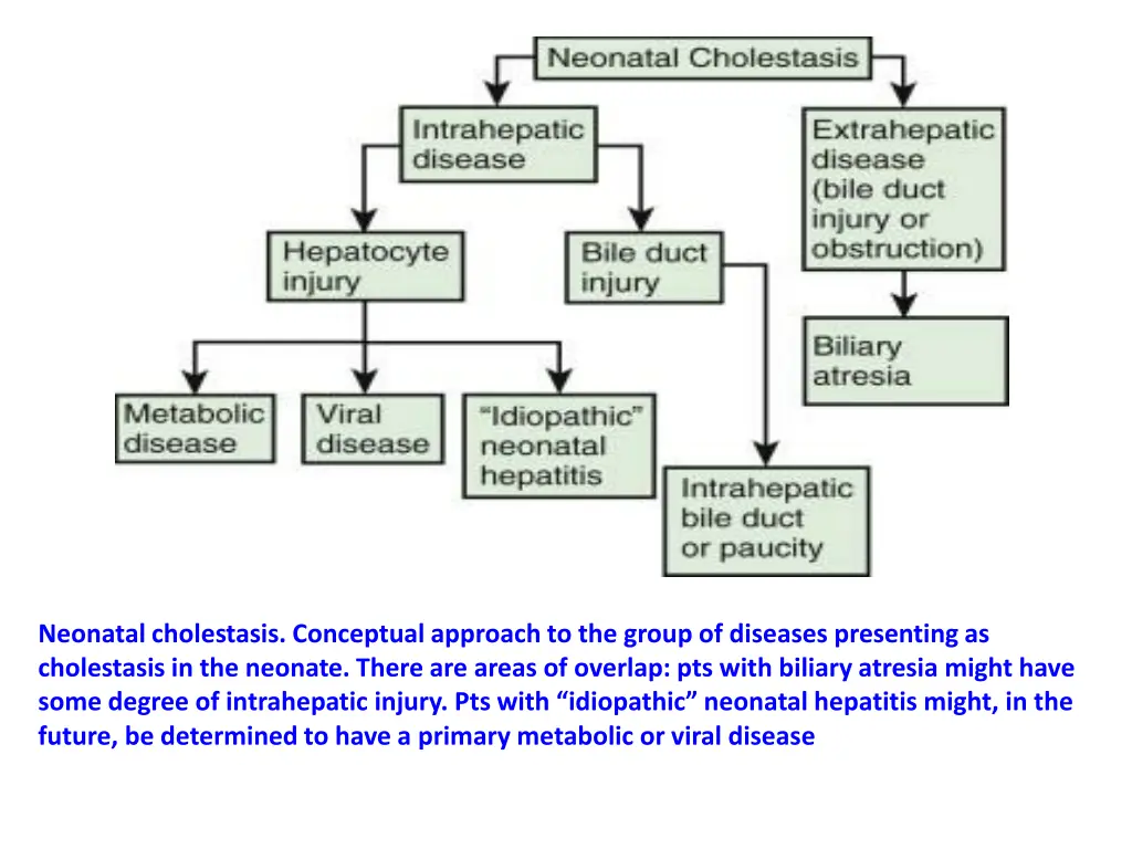 neonatal cholestasis conceptual approach