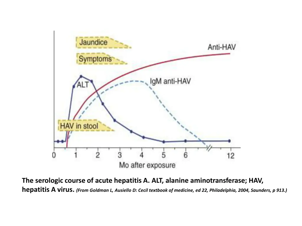 the serologic course of acute hepatitis