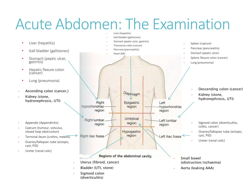 acute abdomen the examination liver hepatitis