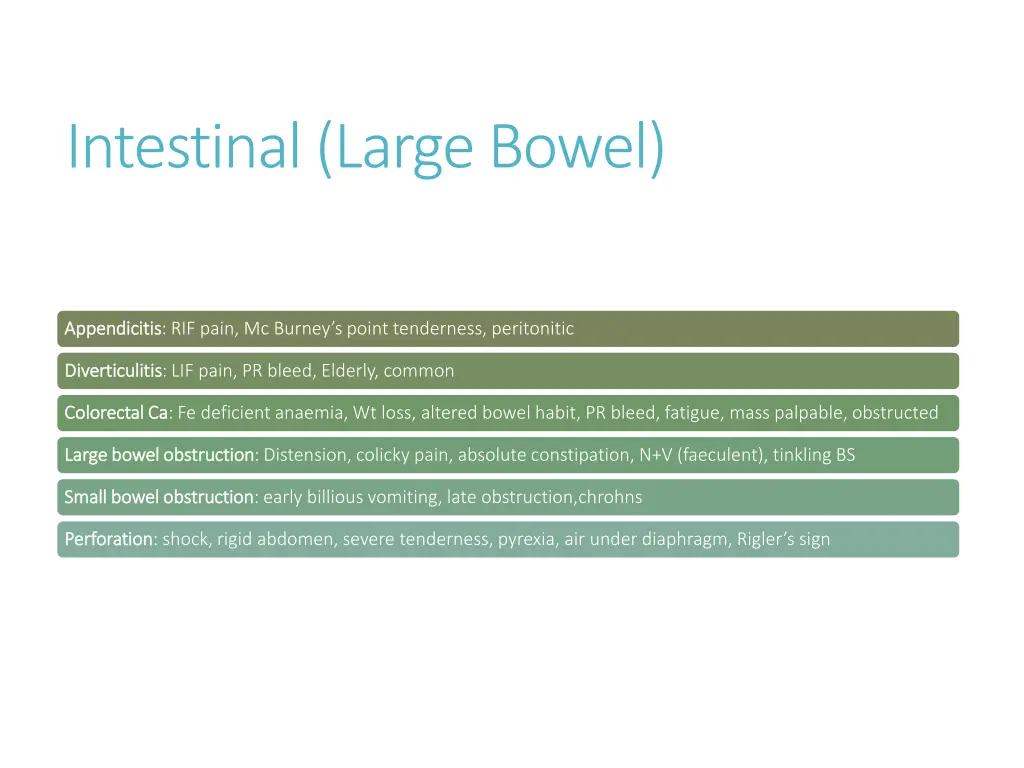 intestinal large bowel