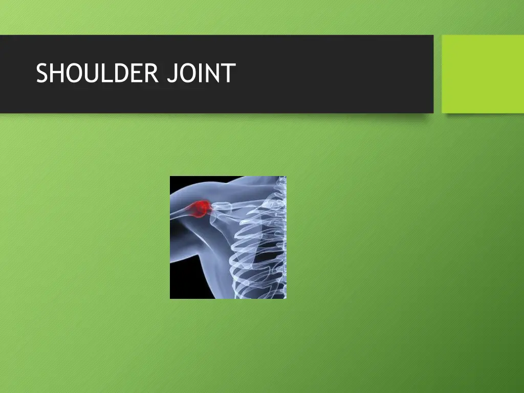 shoulder joint