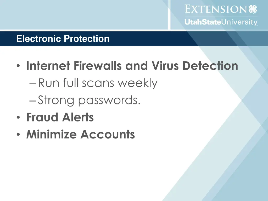 electronic protection