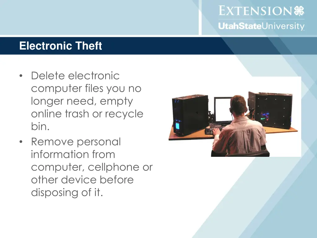 electronic theft