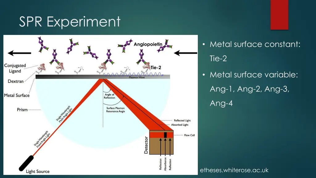 spr experiment