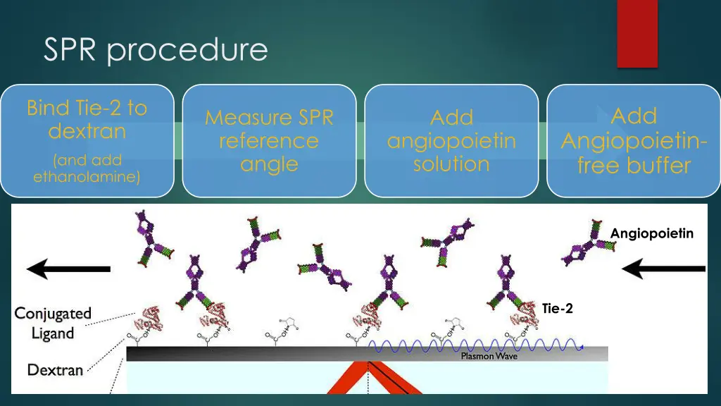 spr procedure