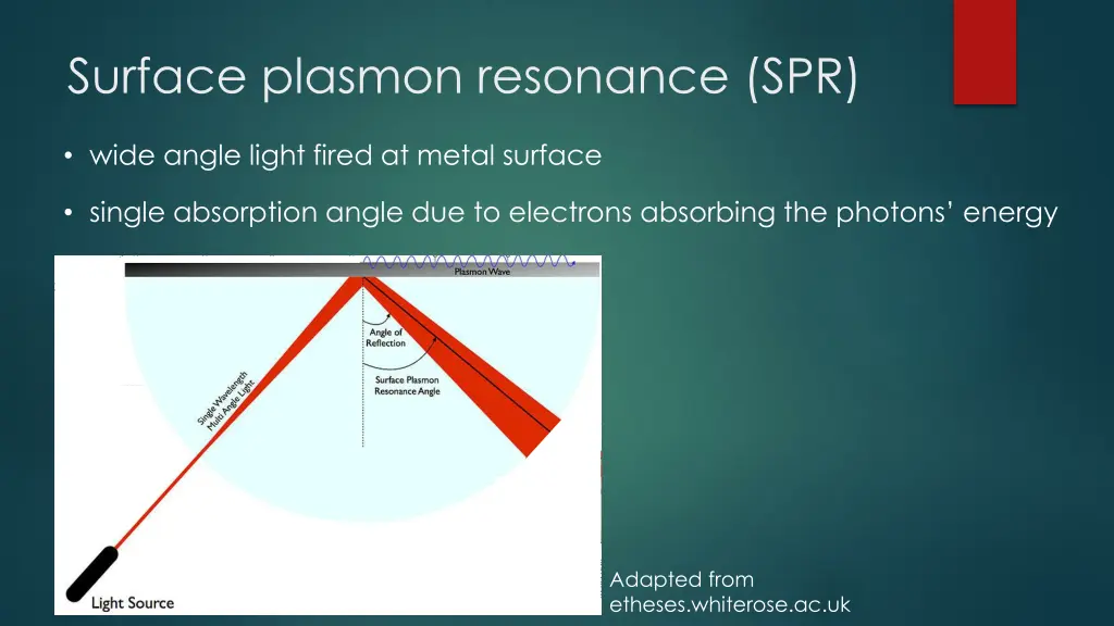 surface plasmon resonance spr