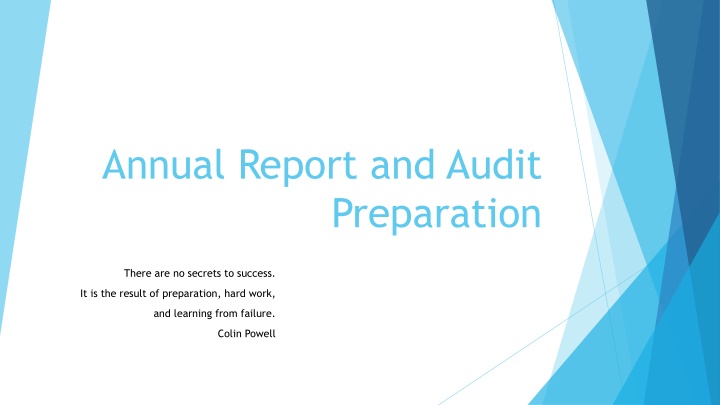 annual report and audit