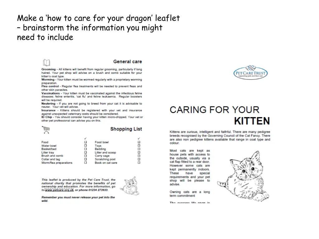 make a how to care for your dragon leaflet