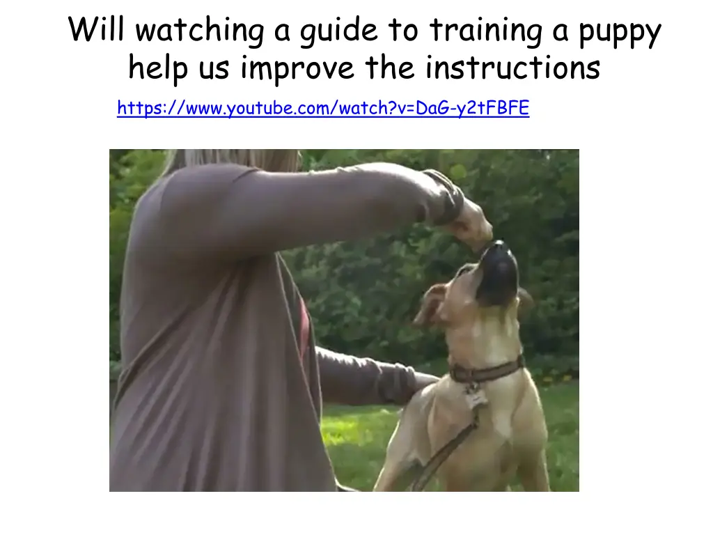 will watching a guide to training a puppy help