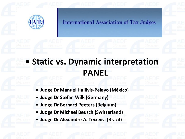 static vs dynamic interpretation panel