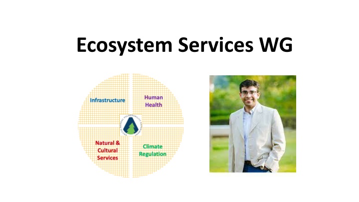 ecosystem services wg