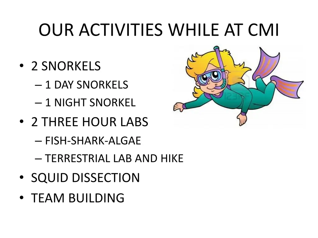 our activities while at cmi