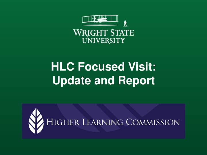 hlc focused visit update and report