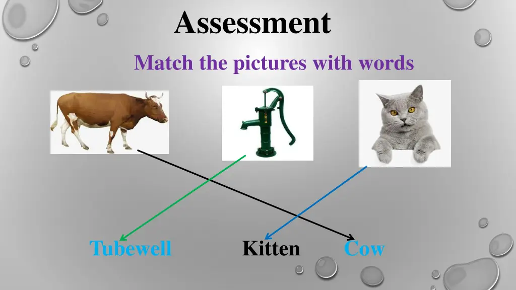 assessment match the pictures with words