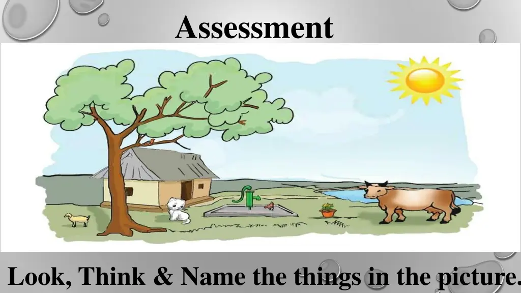 assessment