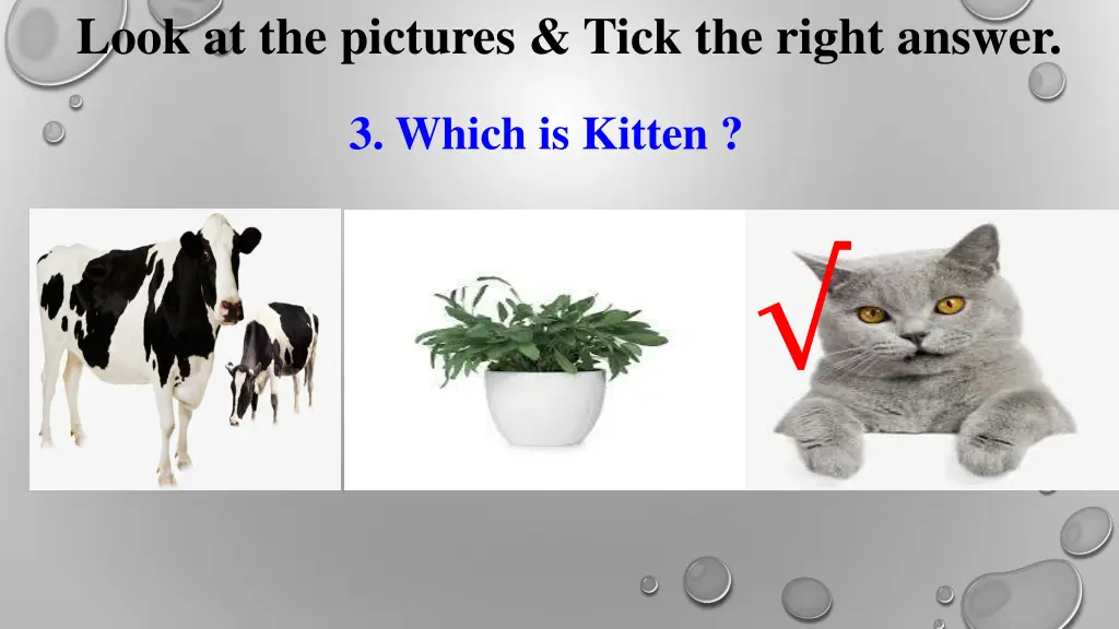 look at the pictures tick the right answer 1