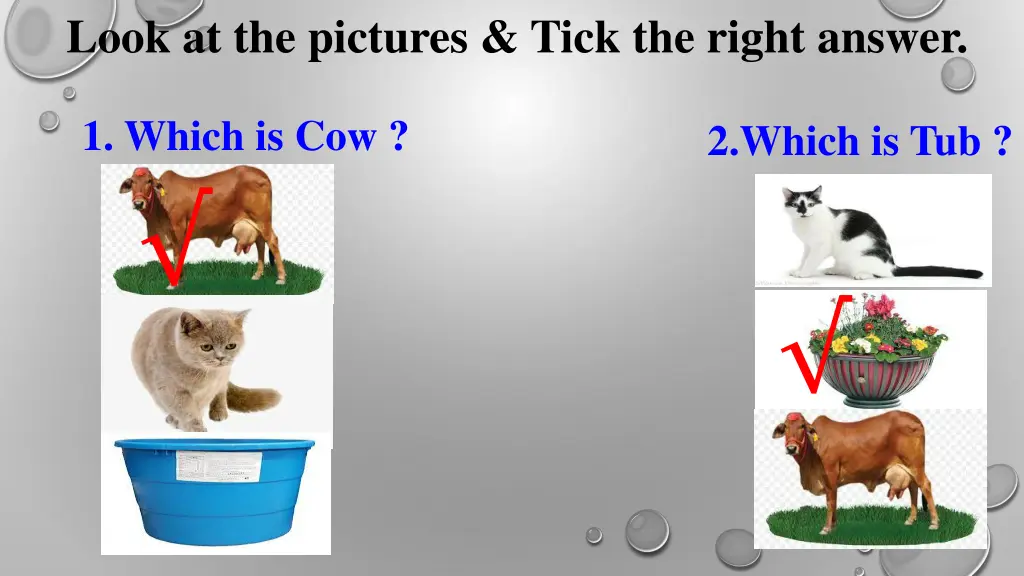 look at the pictures tick the right answer