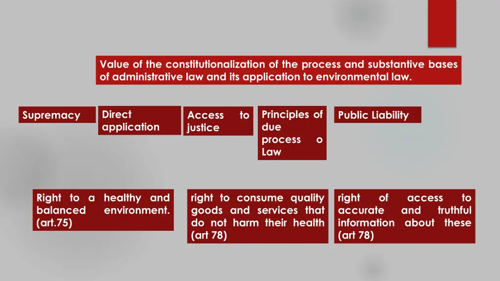 value of the constitutionalization of the process