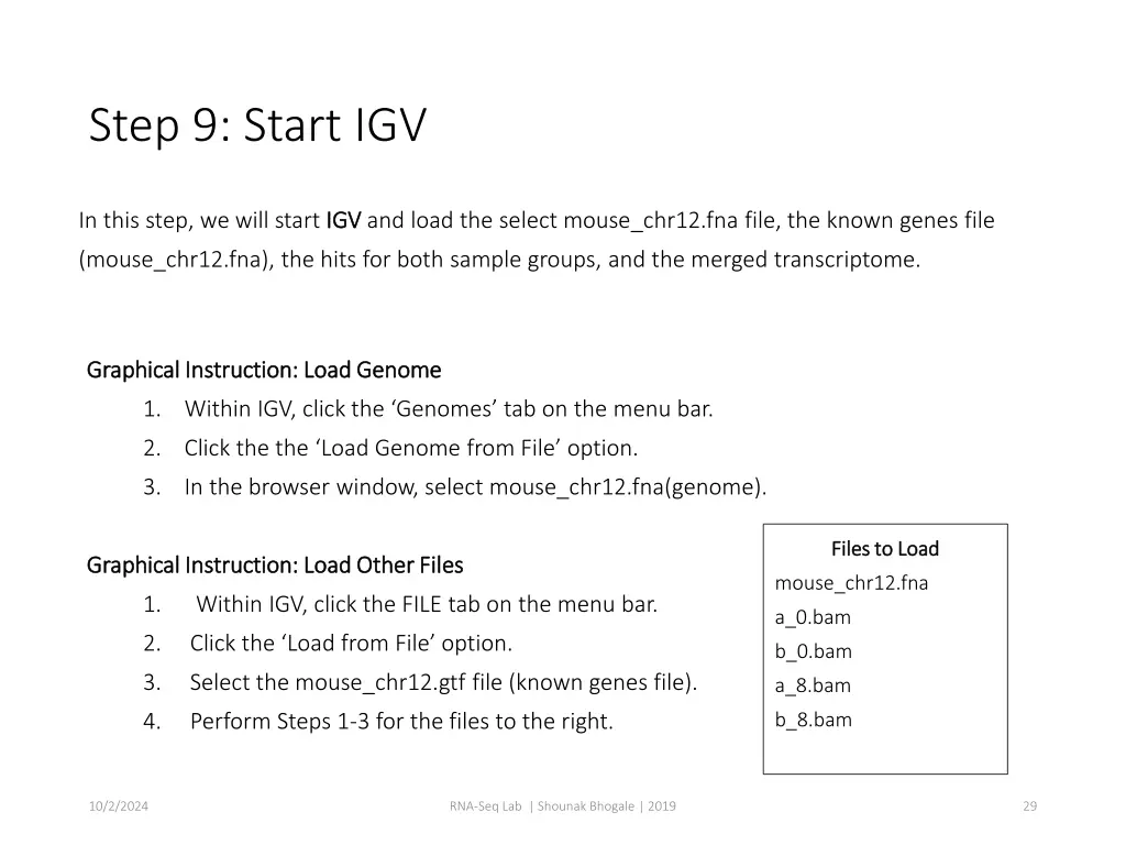 step 9 start igv