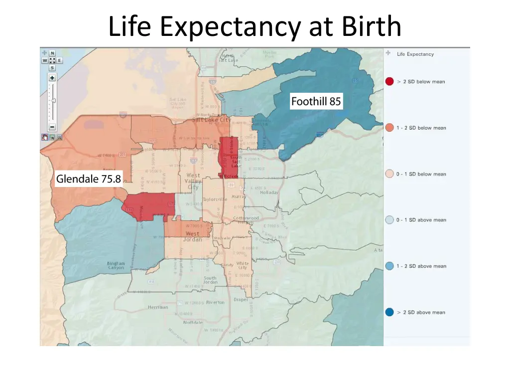 life expectancy at birth