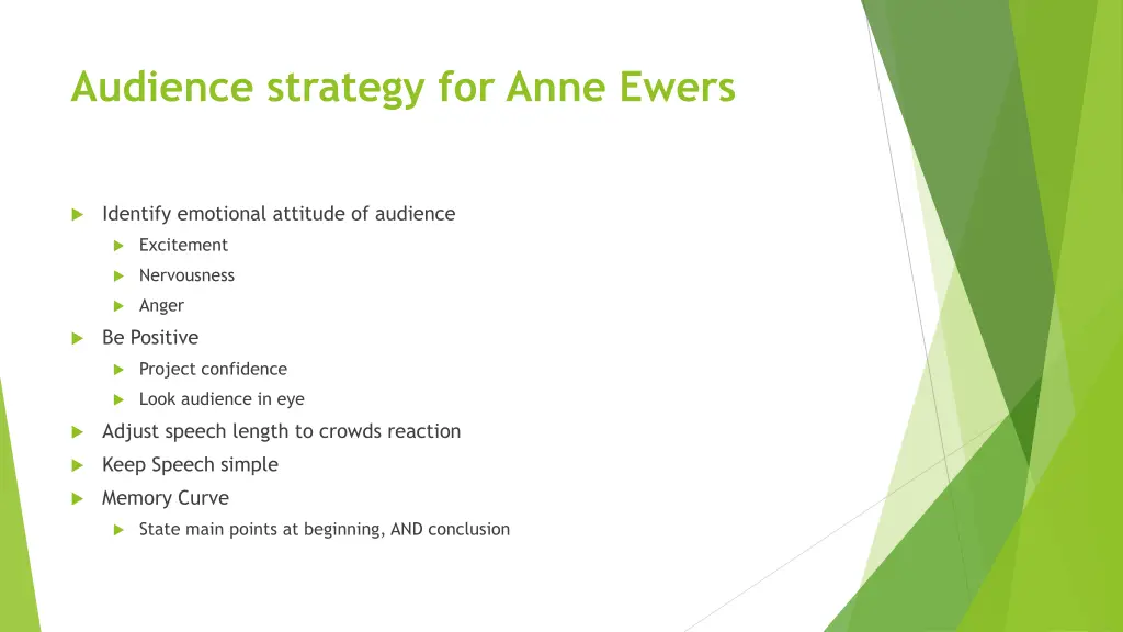 audience strategy for anne ewers 2