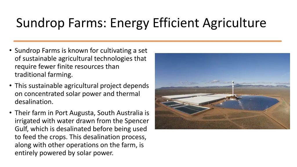 sundrop farms energy efficient agriculture