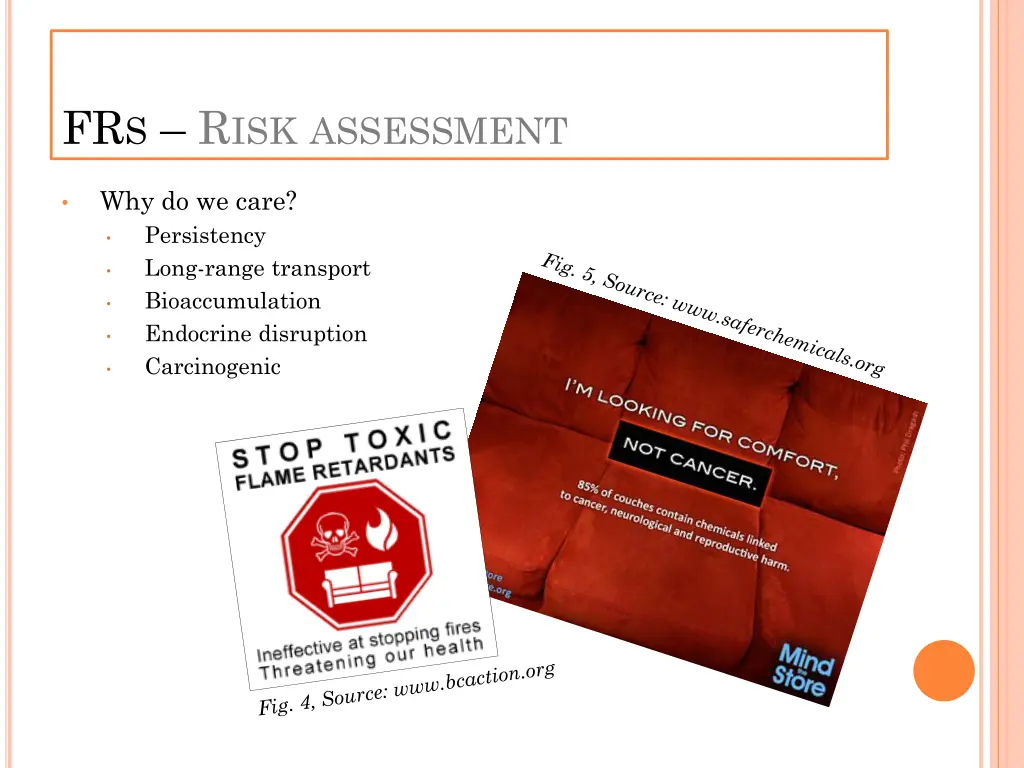 fr s r isk assessment