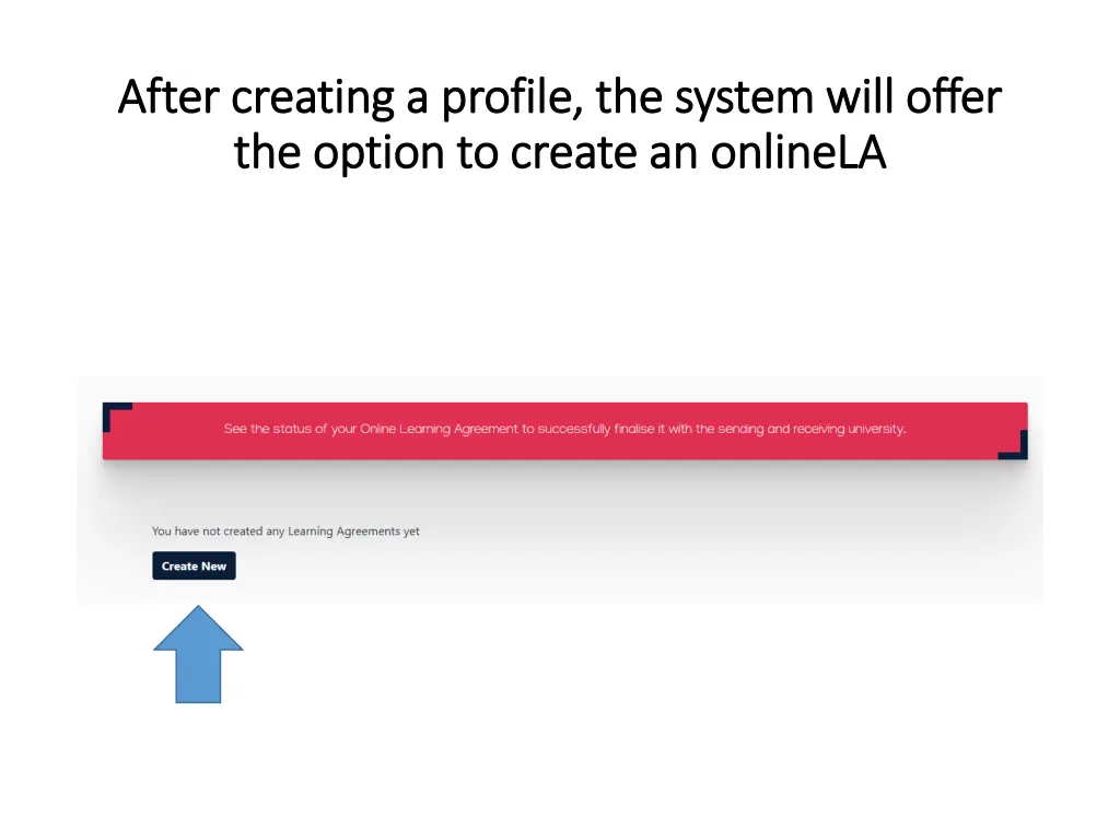 after creating a profile the system will offer