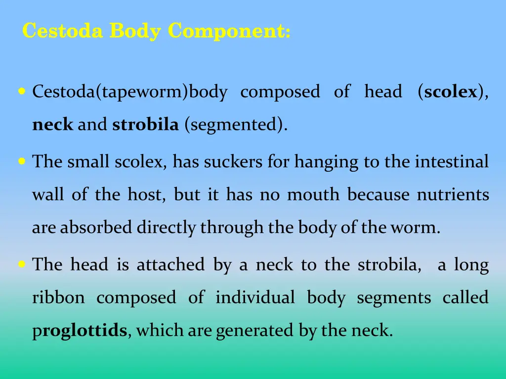 cestoda body component