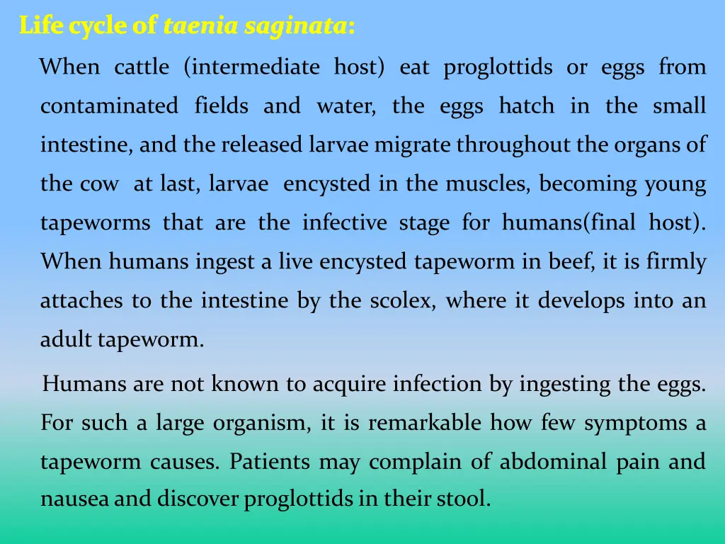 life cycle of taenia saginata