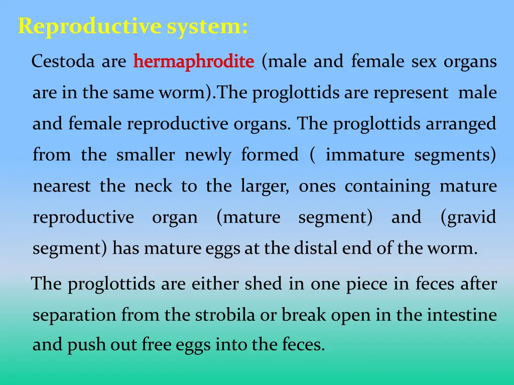 reproductive system