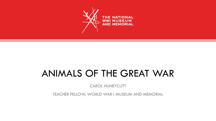 animals of the great war