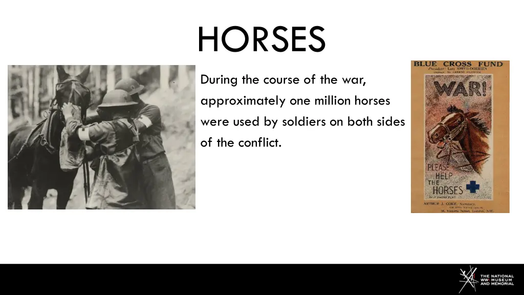 horses