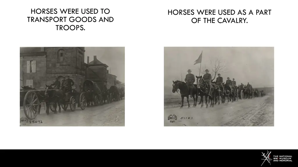 horses were used to transport goods and troops