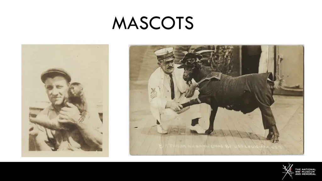 mascots