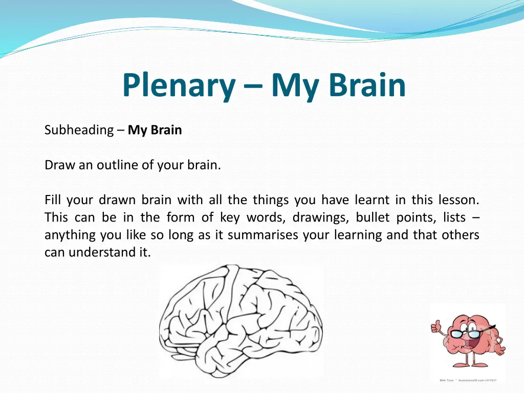 plenary my brain