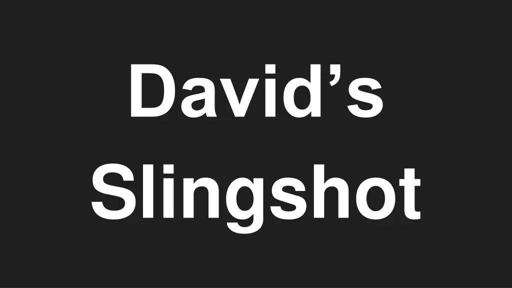 david s slingshot