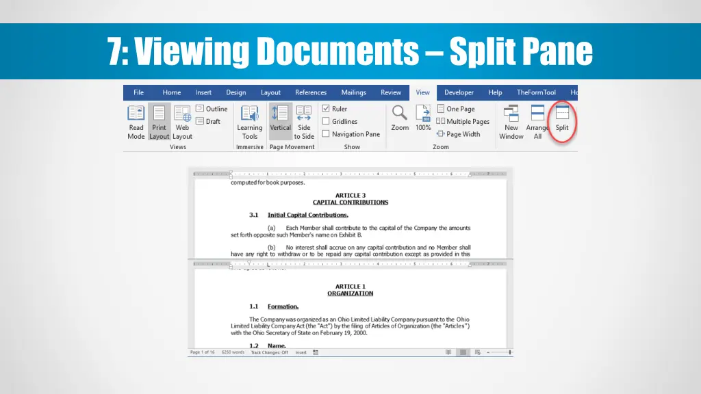 7 viewing documents split pane