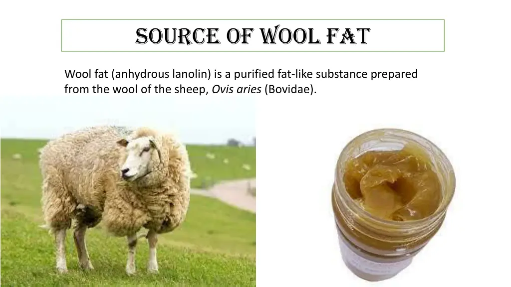 source of wool fat