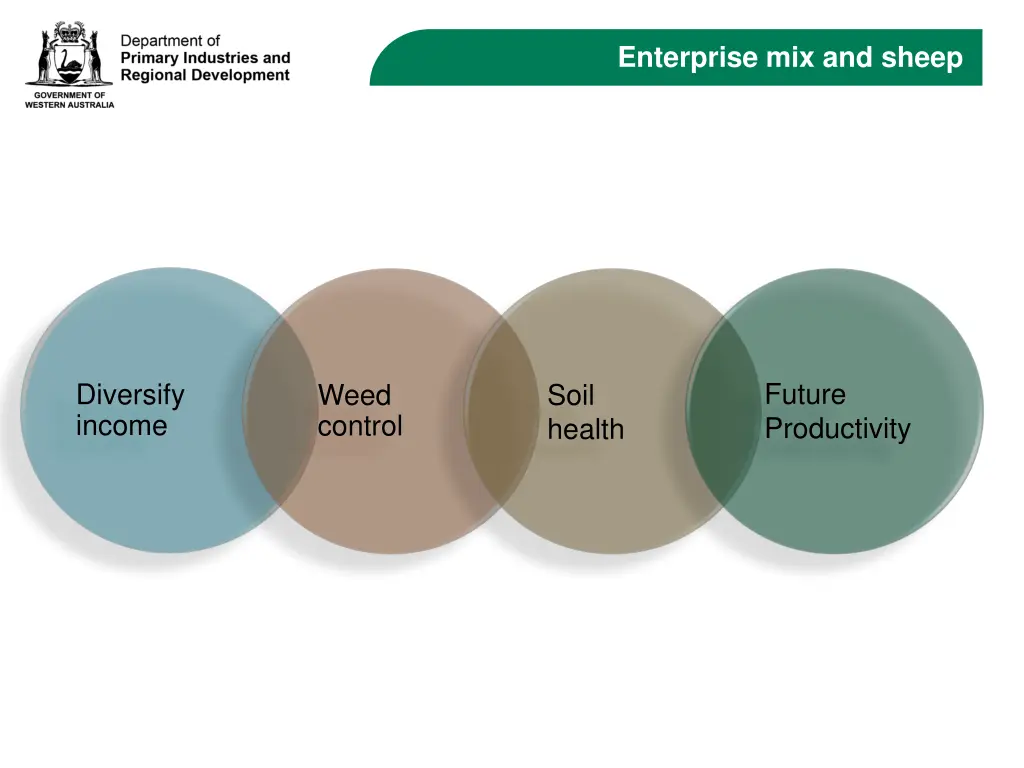 enterprise mix and sheep