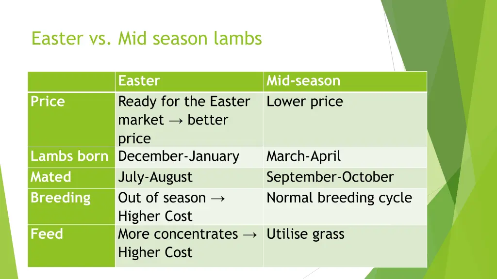 easter vs mid season lambs