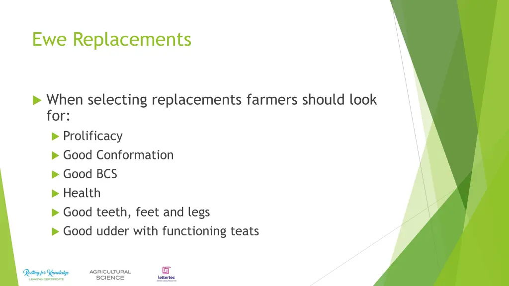 ewe replacements