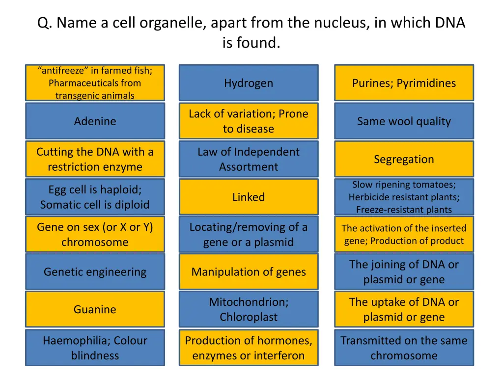 q name a cell organelle apart from the nucleus