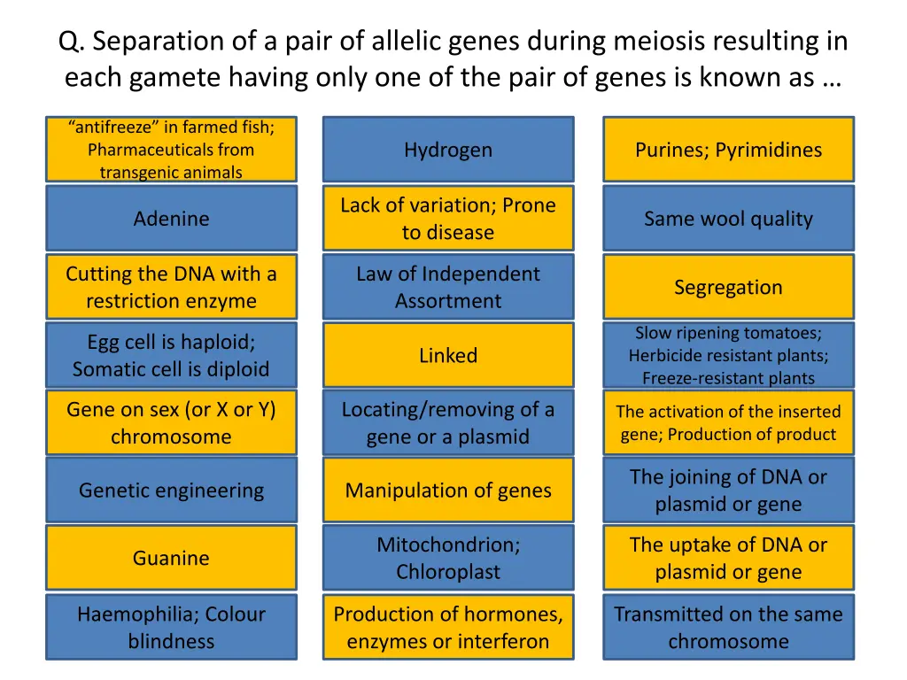 q separation of a pair of allelic genes during