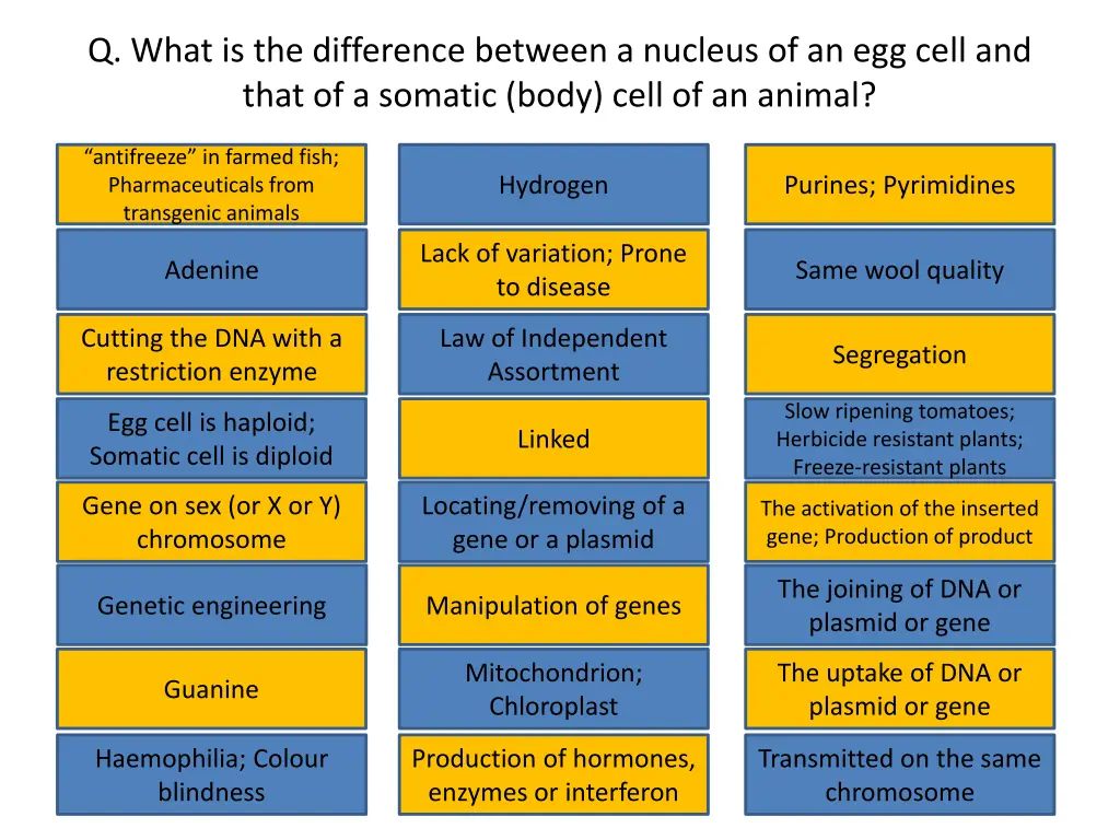 q what is the difference between a nucleus