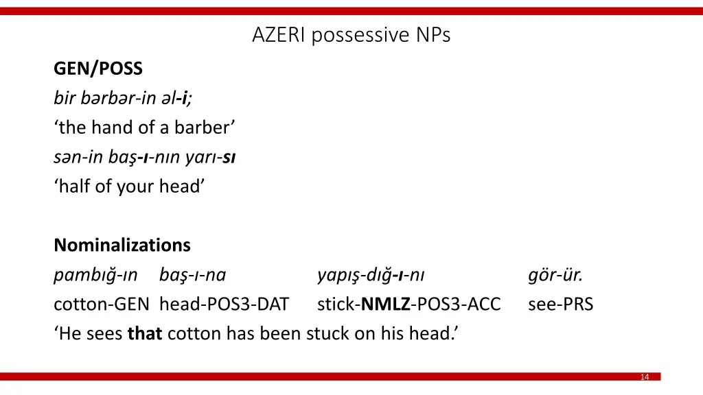 azeri possessive nps