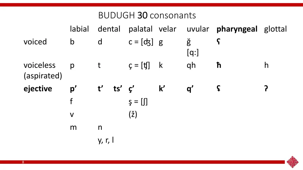 budugh 30 dental d